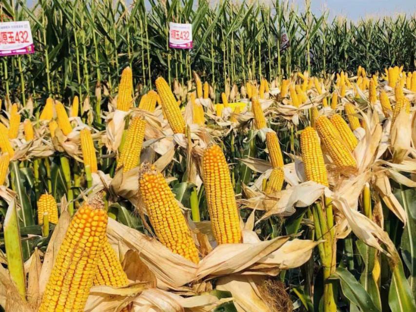 新疆旅行日记,探寻大美新疆🌟🏔️