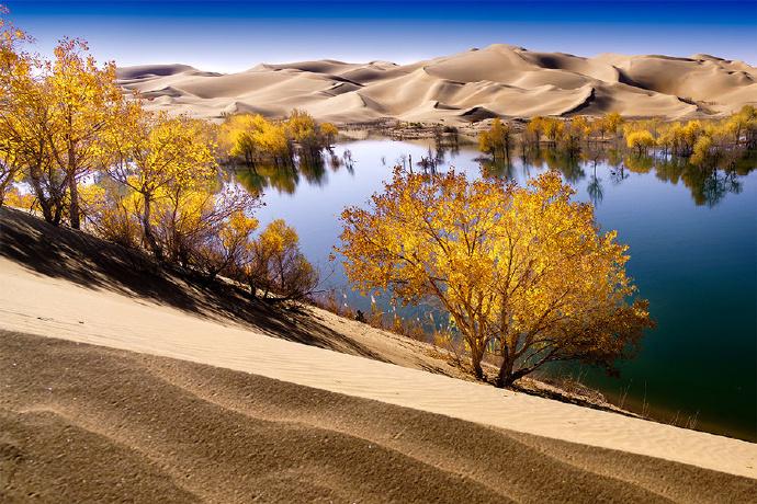 新疆旅行日记,探寻大美新疆🌟🏔️