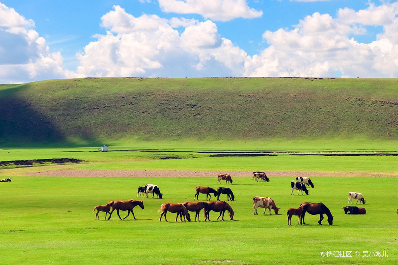 呼伦贝尔,草原生态与民族文化的交融共生探究